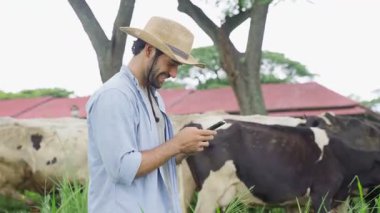 Hasır şapkalı gülümseyen bir erkek çiftçi gün boyunca güneşli bir süt çiftliğinde süt inekleri sürüsünün arasında duruyor..