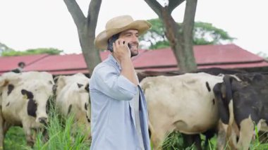 Pipet şapkalı neşeli bir tarım işçisinin portresi. Açık hava süt çiftliğinde süt sığırlarını yönetiyor..