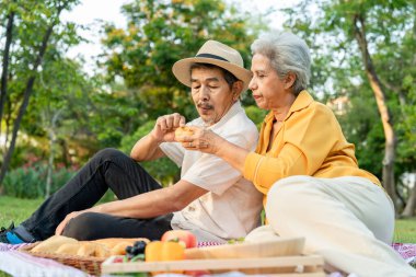 Asyalı yaşlı çift bahçede romantik bir randevuda vakit geçiriyor. Mutlu aile, çekici olgun erkek ve kadın neşeli ve rahat hissediyorlar gün batımında halka açık parkta piknik yapıyorlar.