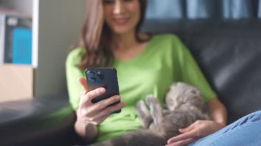 Kanepede oturan kadının elinde akıllı telefon evcil kedisi