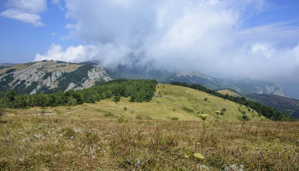 Berge in den Wolken — Stockfoto