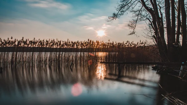 Parco Nazionale Mecklenburgische Seenplatte Fotografia Stock