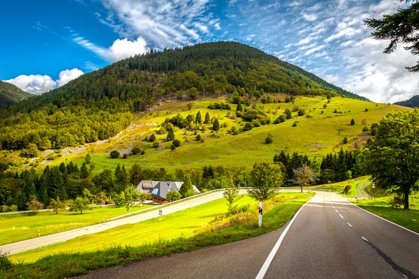 Gatorna Schwarzwald — Stockfoto