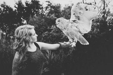 Kartal baykuş bayanla