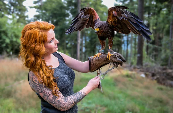 Die Dame mit dem Harrisfalken Stockfoto