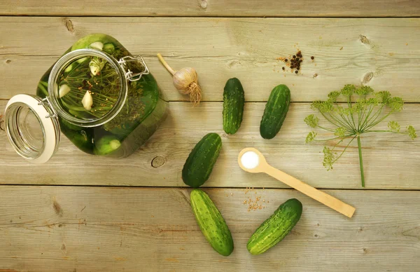 Cetrioli in salamoia fatti in casa, sottaceti Foto Stock