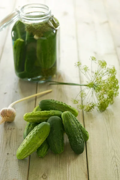 Homemade pickled cucumbers, pickles — Stock Image Homemade pickled cucumbers, pickles Stock Picture