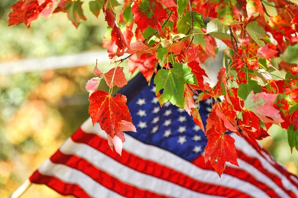 Folhas de outono e bandeira americana Imagens De Bancos De Imagens Sem Royalties