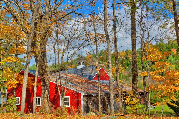Red Barn w okolicy Nowej Anglii — Zdjęcie stockowe