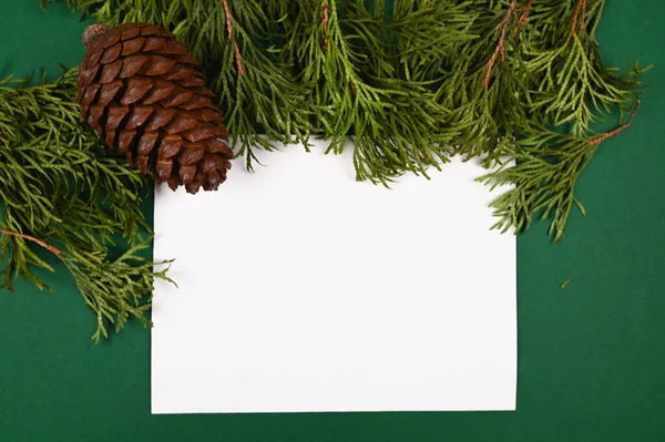 Білий Лист Зеленому Різдвяному Фоні Високоякісна Фотографія — стокове фото