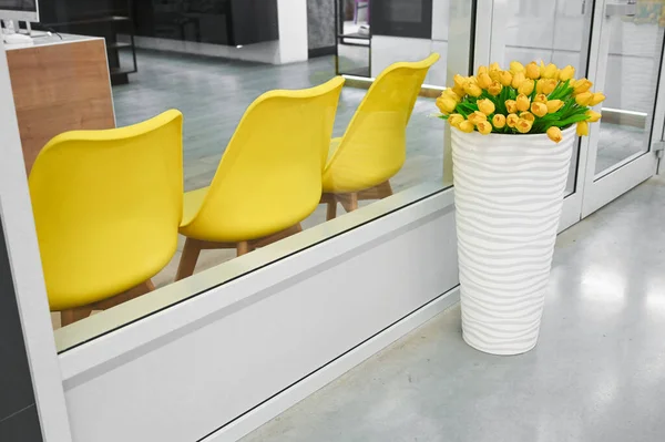 Żółte tulipany w białym wazonie, z żółtymi krzesłami na tle — Zdjęcie stockowe