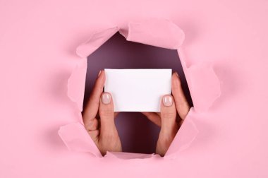 Elinde pembe arka planda bir kartvizit var. Yüksek kalite fotoğraf