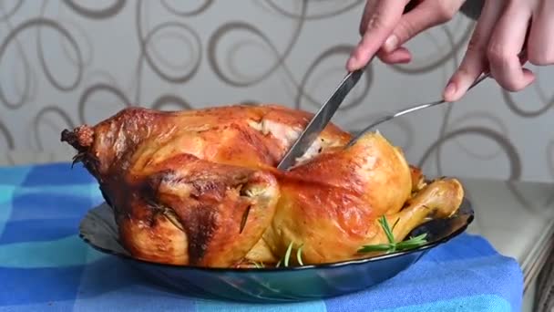 Chica corta pollo cocinado de cerca. cocinar pollo en casa — Vídeos de Stock