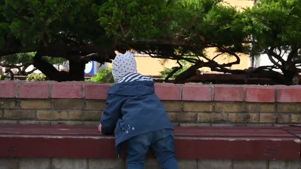 Child 1-2 years playing outside on a Sunny day — Wideo stockowe