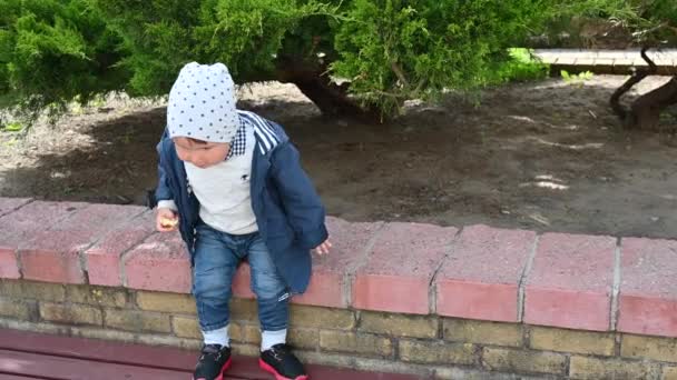 Παιδί 1-2 ετών παίζει έξω σε μια ηλιόλουστη μέρα — Αρχείο Βίντεο
