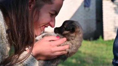 Bir kızın kollarında küçük bir köpek yavrusu. Bir köpek yavrusuyla oynamak.