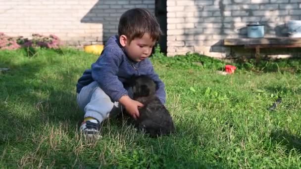 Child hugs a puppy. Walked the puppy on the street. Play of a child with a puppy — Wideo stockowe