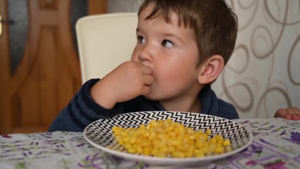 Child eating corn from a plate. High quality video — Wideo stockowe