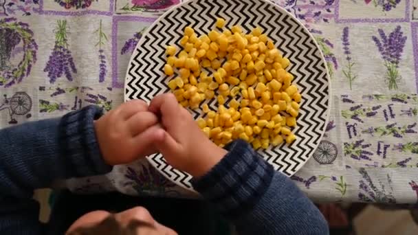 Niño comiendo maíz, vista superior. Video de alta calidad... — Vídeos de Stock