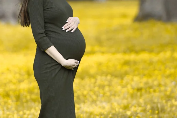 Vista Ritagliata Della Donna Incinta Che Abbraccia Pancia Colore Dell — Foto Stock