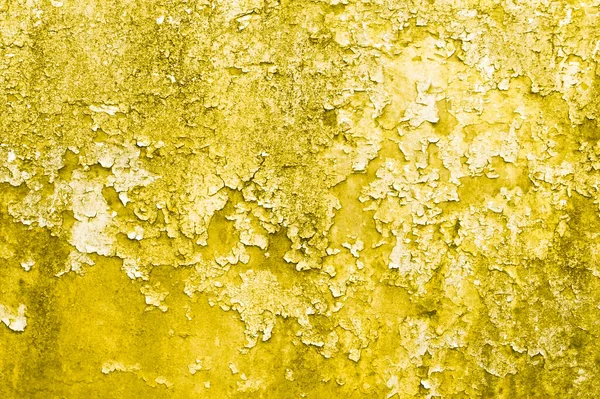 Текстурированный Естественный Фон Тонированные Модный Освещенный Желтый Цвет 2021 Высокое — стоковое фото