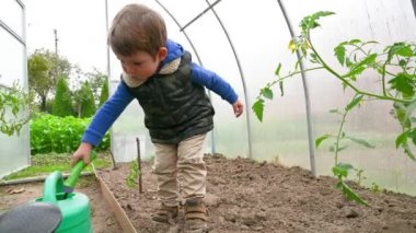 Çocuk seradaki serayı kazıyor.