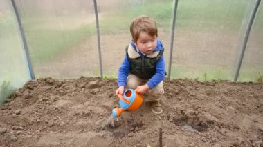 Serada kuru zemini sulayan bir çocuk. Yüksek kaliteli video