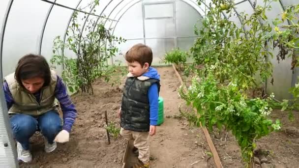 Kind met moeder zijn bezig met landbouw. Hoge kwaliteit video — Stockvideo