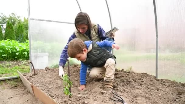 El niño con la madre se dedican a la agricultura. Video de alta calidad — Vídeo de stock