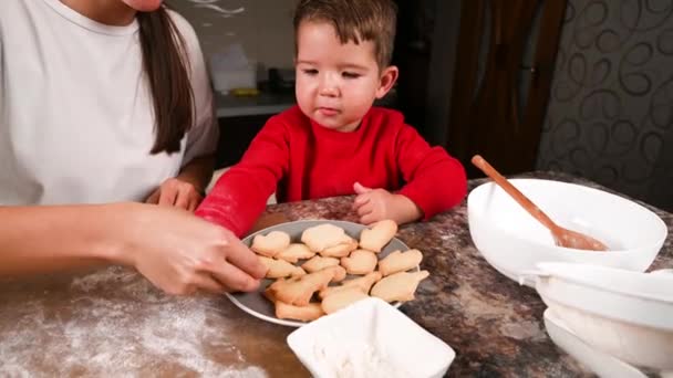 Das Kind isst Weihnachtsplätzchen. Kochen in der Küche — Stockvideo