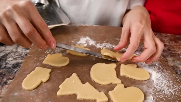 Biscoitos de Natal estão prontos para assar. Vídeo de alta qualidade — Vídeo de Stock