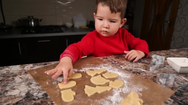 Las galletas de Navidad están listas para hornear. Video de alta calidad — Vídeos de Stock