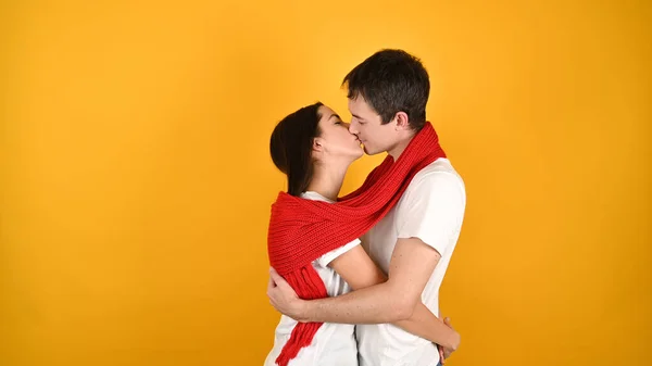 Küssendes Junges Paar Auf Gelbem Hintergrund Hochwertiges Foto — Stockfoto