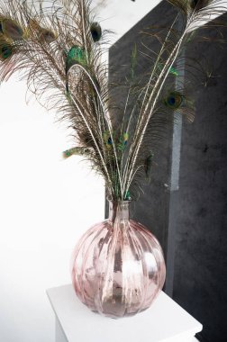 Vazodaki tavus kuşu tüyleri. Yüksek kalite fotoğraf