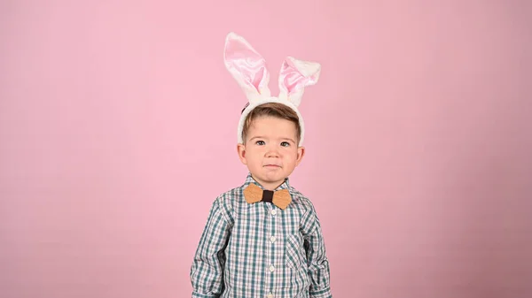 小兔子耳朵 粉红的背景 高质量的照片 — 图库照片