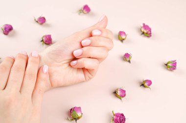 Gül goncalarının arka planında güzel bir kadın eli. Yüksek kalite fotoğraf