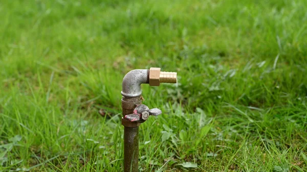 Waterleiding Voor Slang Gras — Stockfoto