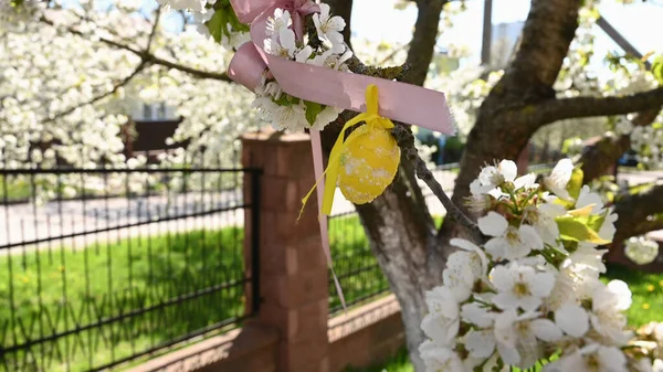 Easter Eggs Hang Flowering Tree — Stock Photo, Image