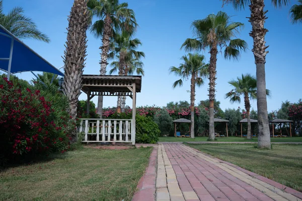 Gazebo de madeira perto de palmeiras — Fotografia de Stock