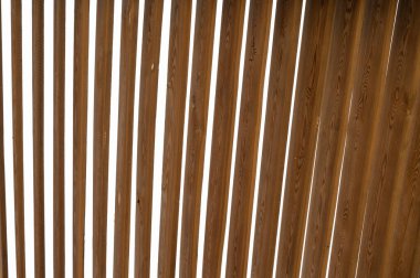 Bambu arka plan ahşap dokuma, yakın plan doğa arka plan. Yüksek kalite fotoğraf