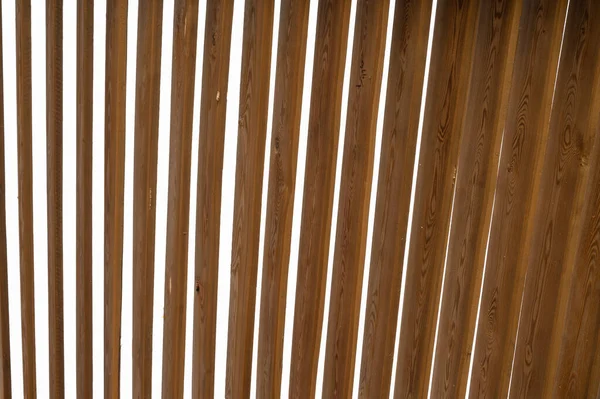 Bambu arka plan ahşap dokuma, yakın plan doğa arka plan. Yüksek kalite fotoğraf
