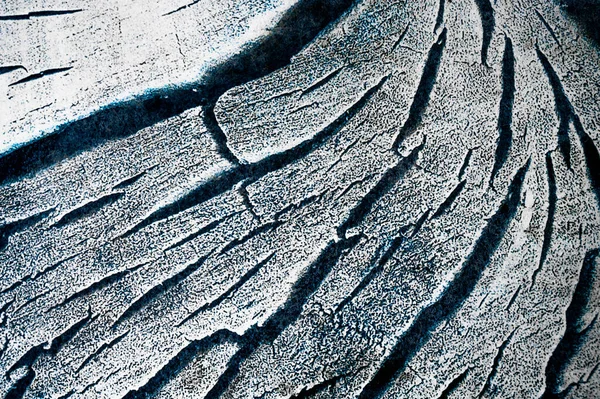 Bela siyah ahşap dokuyu kapat.. 