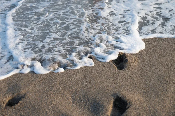 蓝色的海洋蓝色波浪 黄色的沙子海岸 萨哈林高质量的照片 — 图库照片