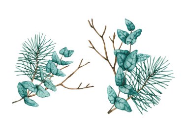 Suluboya dallı kompozisyonlar. El çizimleri beyazın üzerinde izole edilmiş. Kış koleksiyonu boho tasarımı, noel kartı, poster, çiçek logosu, düğün davetiyesi için mükemmeldir.