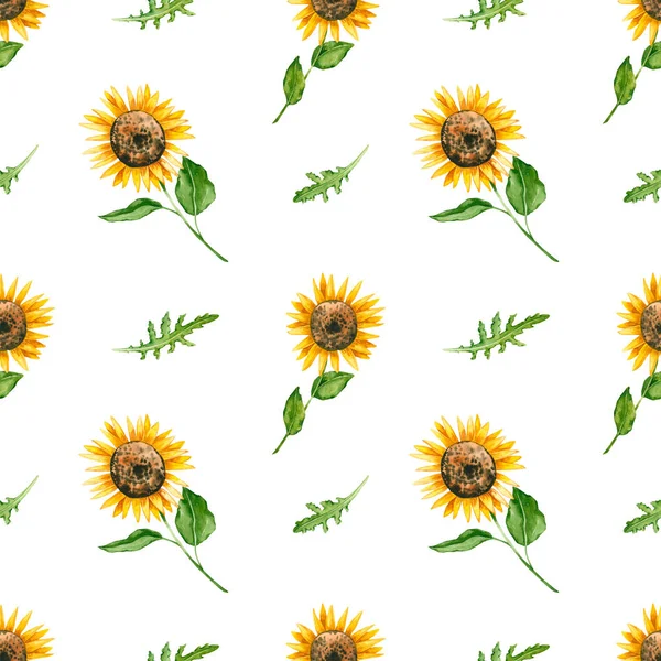Suluboya ayçiçeği ve roka ile kusursuz desen. El çizimi beyaza izole edilmiş. Güneşli çiçekler mutfak tasarımı, çiftlik duvar kağıdı, yağ etiketi, kumaş tekstili için mükemmeldir.