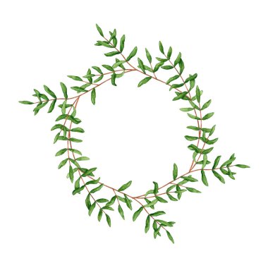 Round wreath with watercolor pistache branches. Hand drawn illustration is isolated on white. Frame with leaves is perfect  for floral design, greeting card, poster, wedding invitation