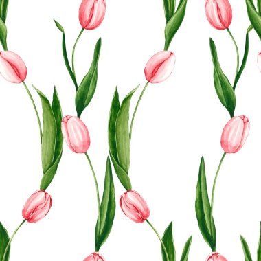 Seamless pattern with watercolor tulips. Hand drawn illustration is isolated on white. Pink flowers are perfect for floral design, wrapping paper, interior wallpaper, fabric textile