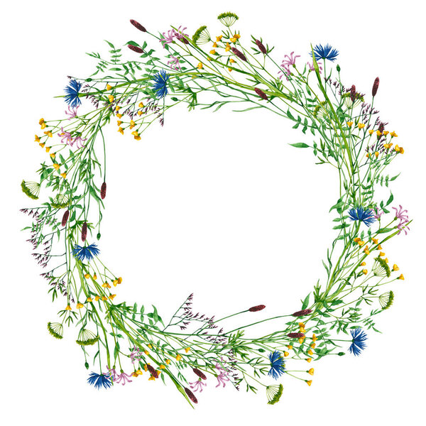 Wreath with watercolor wildflowers. Hand drawn illustration is isolated on white. Round frame is perfect for natural design, greeting card, wedding invitation, floral poster, fabric textile