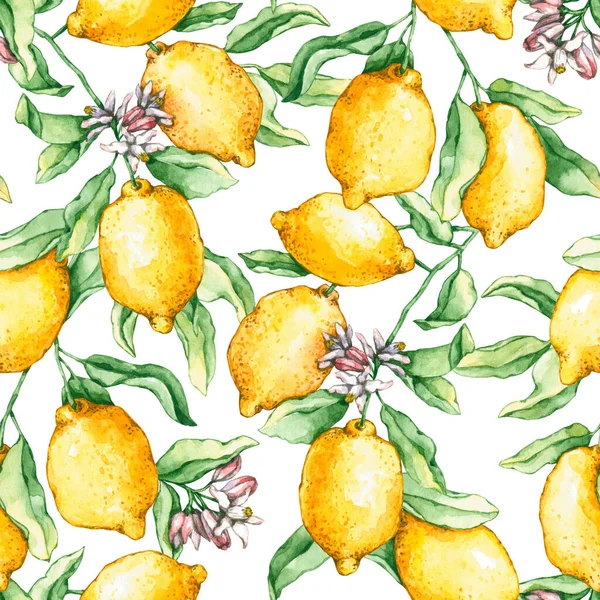 Nahtloses Muster Mit Aquarell Zitronenzweigen Und Blumen Handgezeichnete Illustrationen Sind — Stockfoto