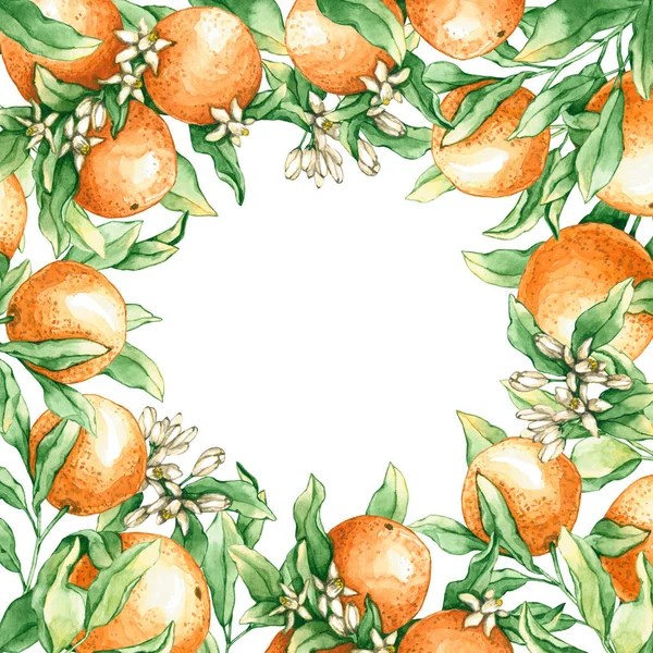 Rahmen Mit Orangefarbenen Zweigen Und Blumen Handgezeichnete Illustrationen Sind Isoliert — Stockfoto